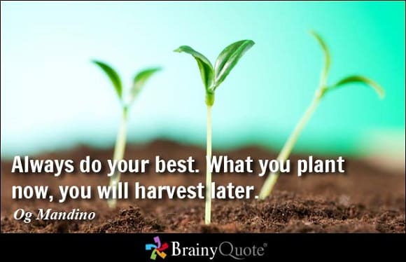 plant-seeds-now-for-success-later